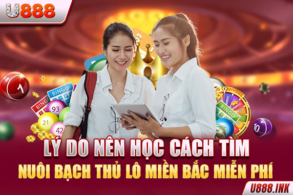 Lý do nên học cách tìm nuôi bạch thủ lô miền Bắc miễn phí
