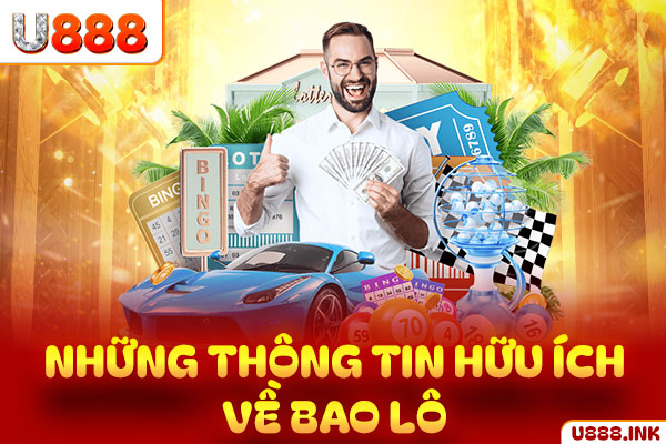 Những thông tin hữu ích về bao lô