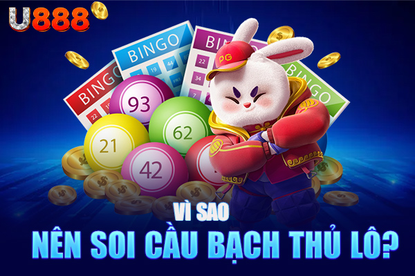 Vì sao nên soi cầu bạch thủ lô?